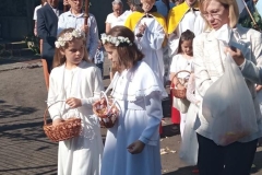 IMG_20260604_085908-Copy